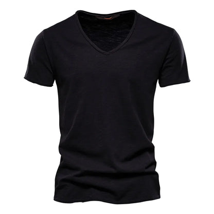 Men's Stylish V-Neck T-Shirt
